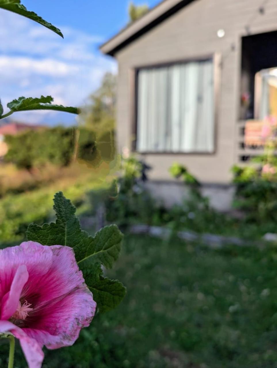 Cottage Kazbegi Sioni Екстериор снимка